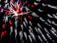 Forrest Pearson shares how to capture 'organic' fireworks with the blur focusing technique