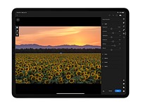 Lightroom CC update for iOS, iPadOS permanently deletes photos and presets for some users