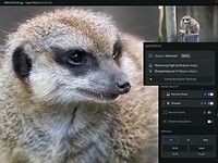 Topaz Labs combines Denoise AI, Sharpen AI and Gigapixel AI into one program, Topaz Photo AI